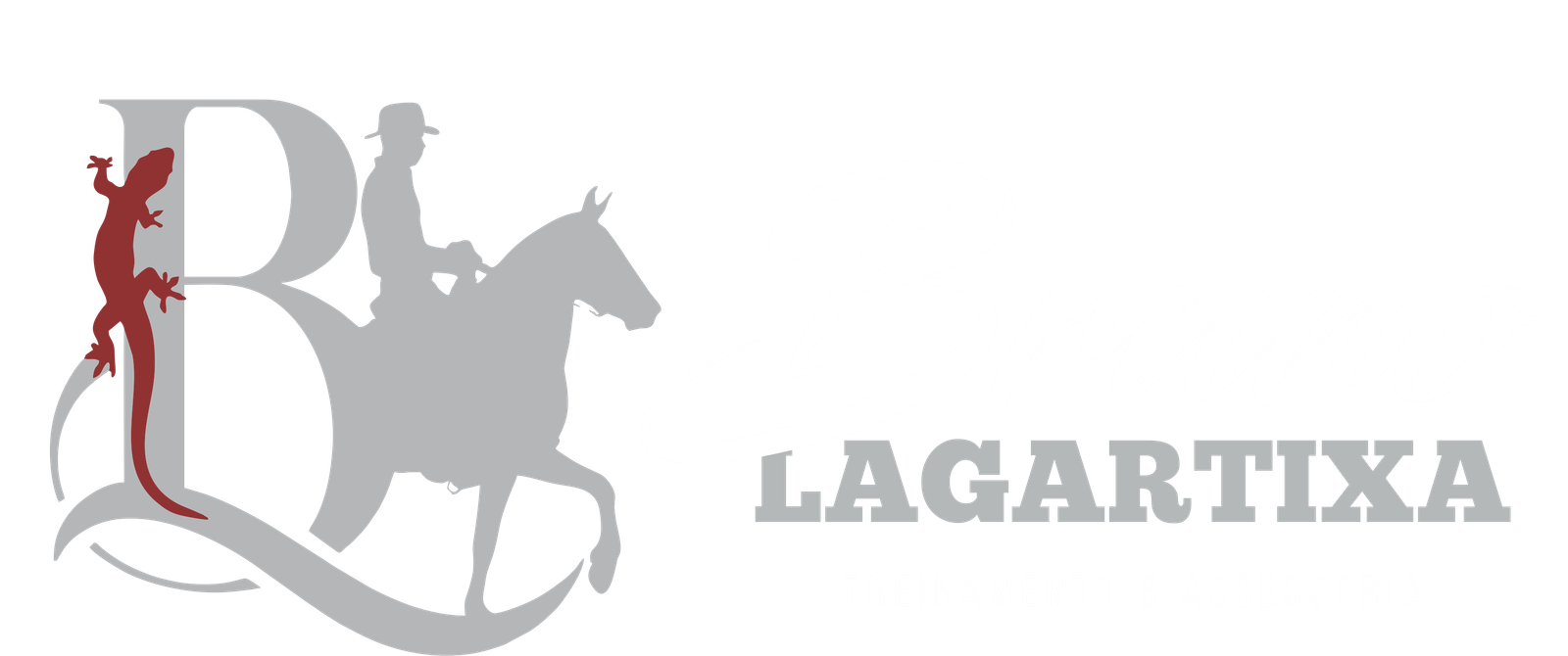 Bruno Lagartixa — Treinamento e Assessoria